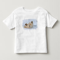polar bear, Ursus maritimus, cub rolling 3