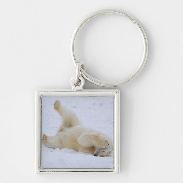 polar bear, Ursus maritimus, cub rolling Key Ring (Front)