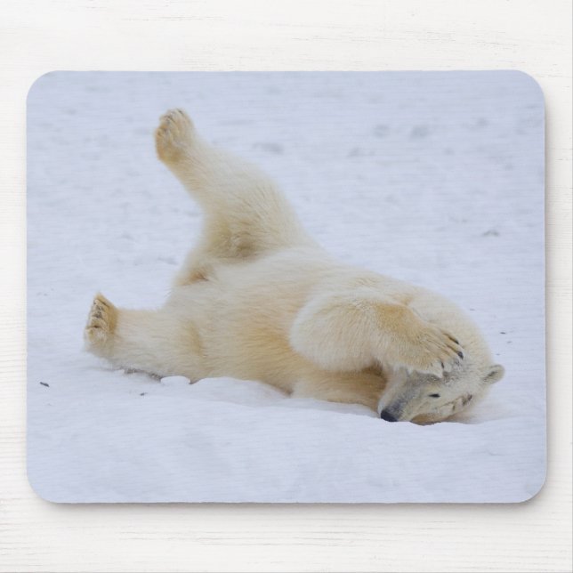 polar bear, Ursus maritimus, cub rolling Mouse Mat (Front)