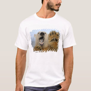 polar bear, Ursus maritimus, curiously looks T-Shirt