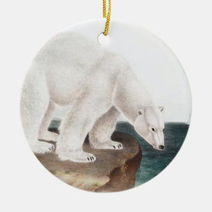 Polar Bear (Ursus maritimus) Illustration Ceramic Tree Decoration