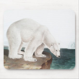 Polar Bear (Ursus maritimus) Illustration Mouse Mat