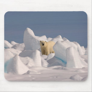 polar bear, Ursus maritimus, in rough ice Mouse Mat