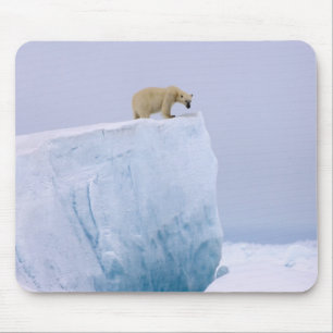 polar bear, Ursus maritimus Mouse Mat