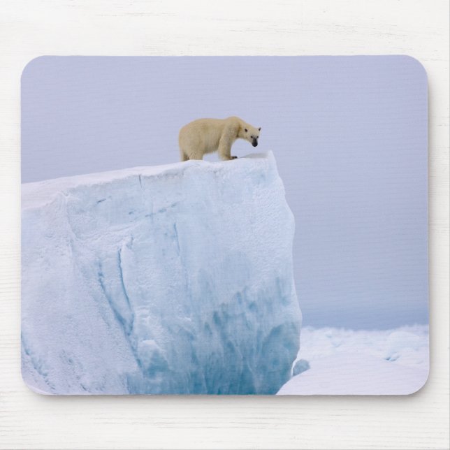 polar bear, Ursus maritimus Mouse Mat (Front)
