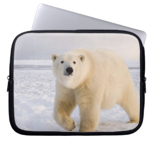 polar bear, Ursus maritimus, on ice and snow, 2 Laptop Sleeve