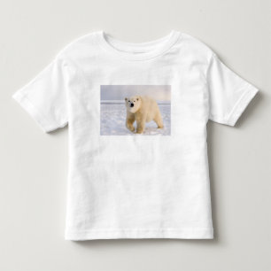 polar bear, Ursus maritimus, on ice and snow, 2 Toddler T-Shirt