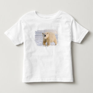 polar bear, Ursus maritimus, on ice and snow, 2 Toddler T-Shirt