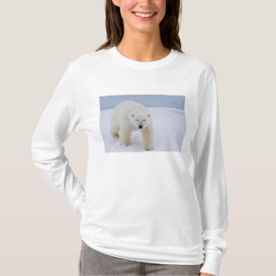 polar bear, Ursus maritimus, on ice and snow, T-Shirt