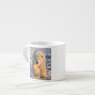 polar bear, Ursus maritimus, polar bear on ice Espresso Cup
