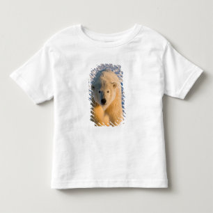 polar bear, Ursus maritimus, polar bear on ice Toddler T-Shirt