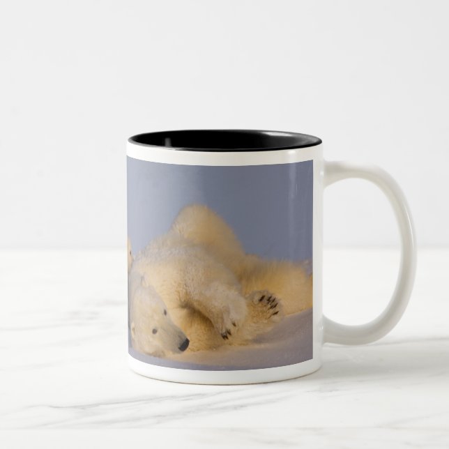 polar bear, Ursus maritimus, sow playing Two-Tone Coffee Mug (Right)