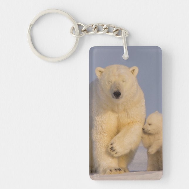polar bear, Ursus maritimus, sow with newborn Key Ring (Front)