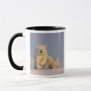 polar bear, Ursus maritimus, sow with newborn Mug