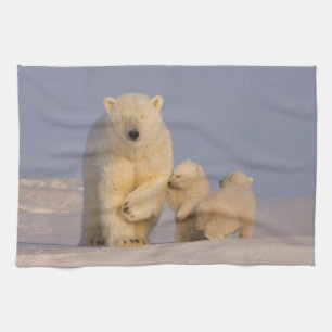 polar bear, Ursus maritimus, sow with newborn Tea Towel