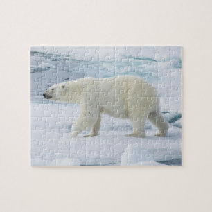 Polar bear walking, Norway Jigsaw Puzzle