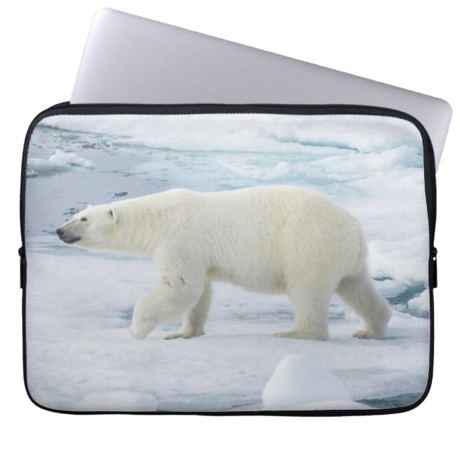 Polar bear walking, Norway Laptop Sleeve (Front)