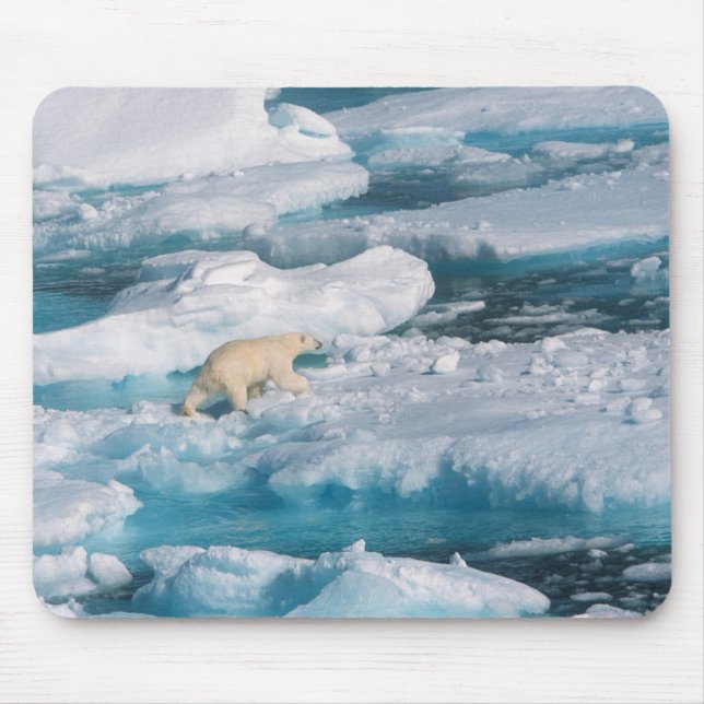 Polar Bear walking on the Sea Mouse Mat (Front)