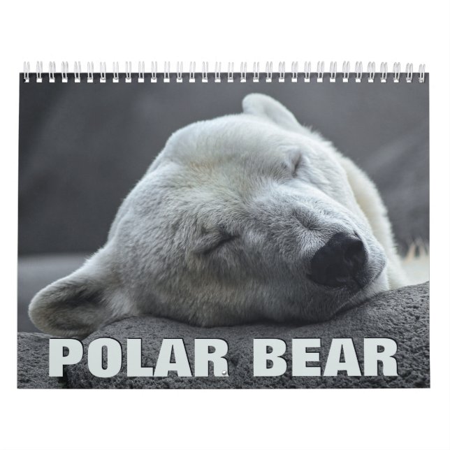 Polar Bear Wall Calendar (Cover)