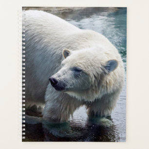 Polar Bear Weekly/Monthly Planner