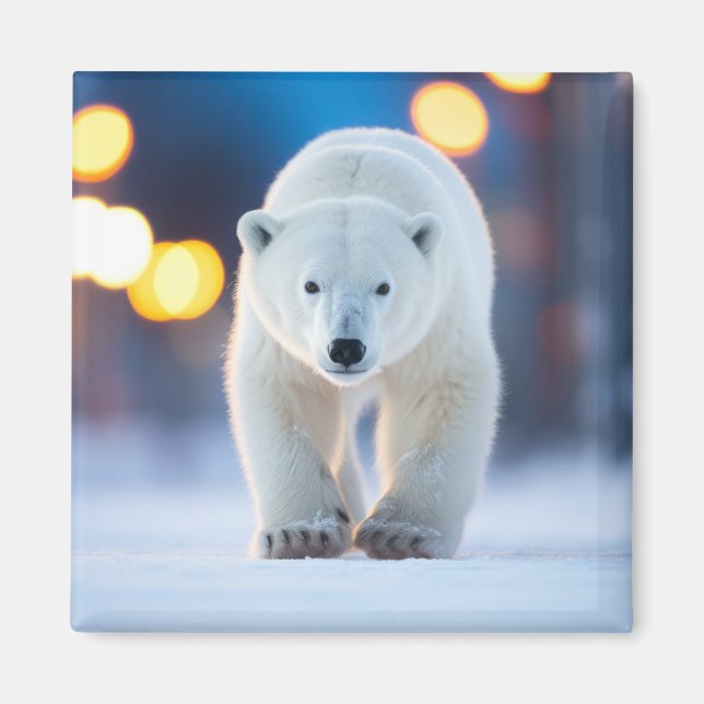Polar Bear Wildlife Animal On Street  Magnet (Front)