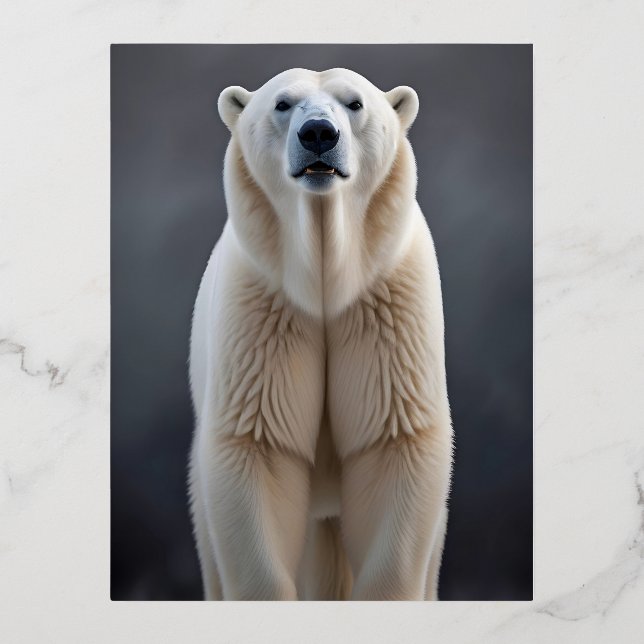 Polar Bear Wildlife Majestic Nature Life Wallpaper Foil Holiday Postcard (Front)