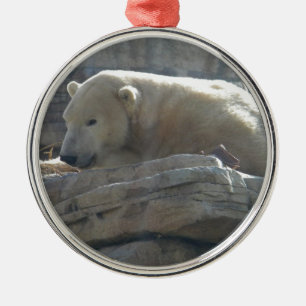 Polar Bear Wildlife Premium Round Ornament
