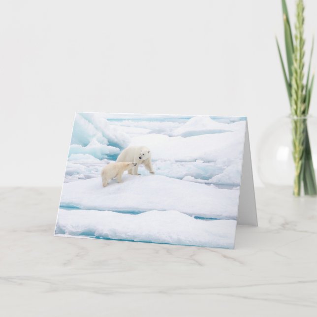 Polar bear with cub holiday card (Front)