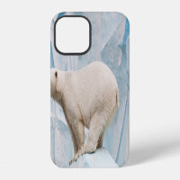 Polar Bear: Zoo Habitat Glimpse