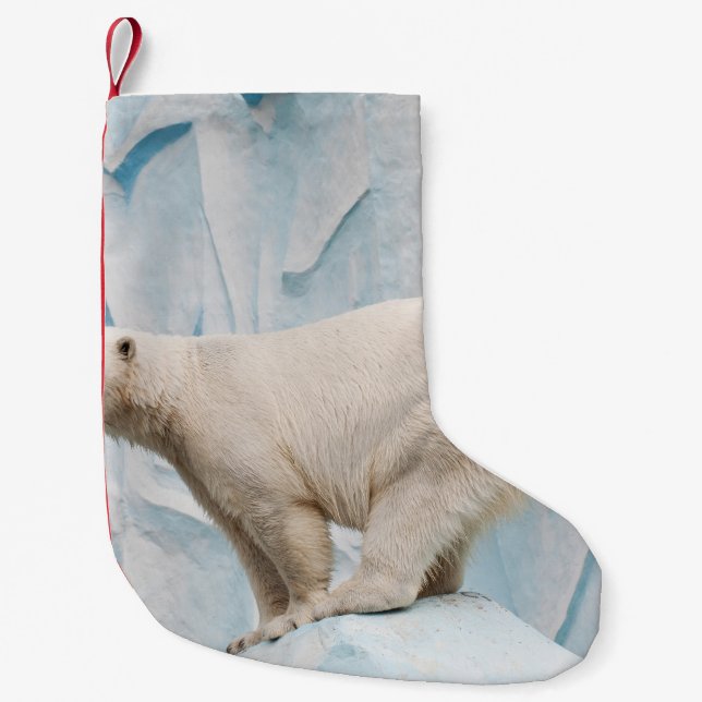 Polar Bear: Zoo Habitat Glimpse Small Christmas Stocking (Front)
