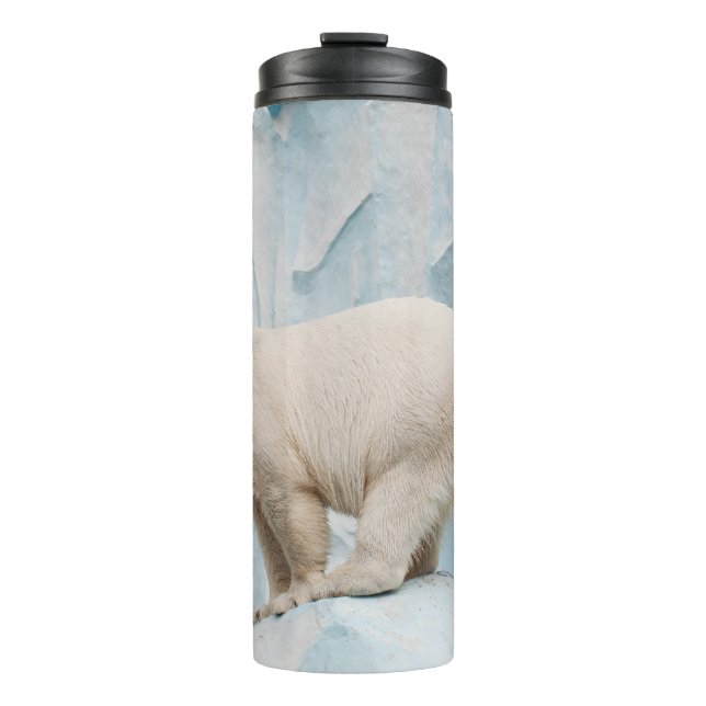 Polar Bear: Zoo Habitat Glimpse Thermal Tumbler (Front)