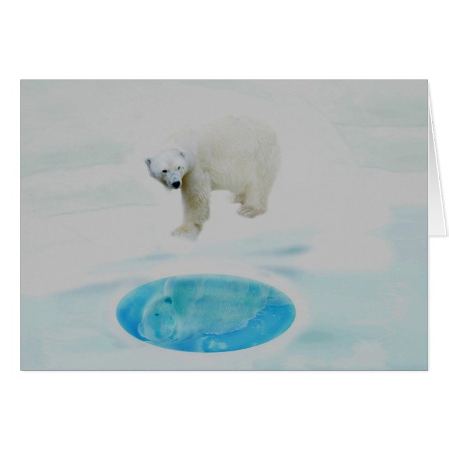 Polar bears alone (Front Horizontal)