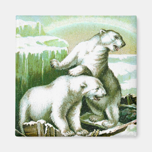 Polar Bears and Northern Lights Magnet (Front)
