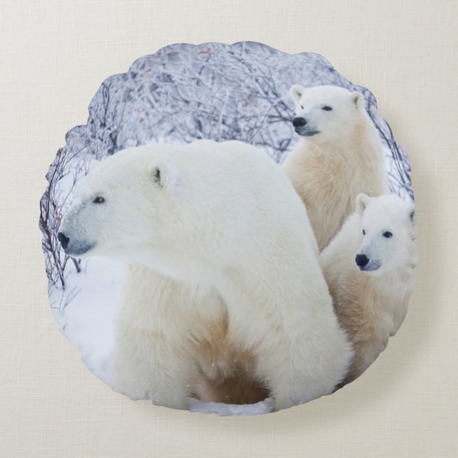 Polar Bears and Two cubs Round Cushion (Front)