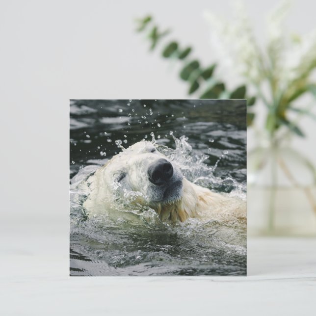 Polar Bear's Aqua Aura (Standing Front)