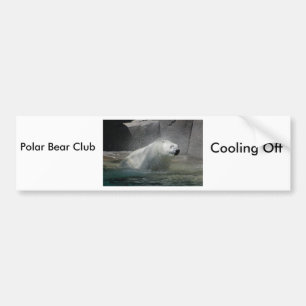 Polar Bears Bumper Sticker