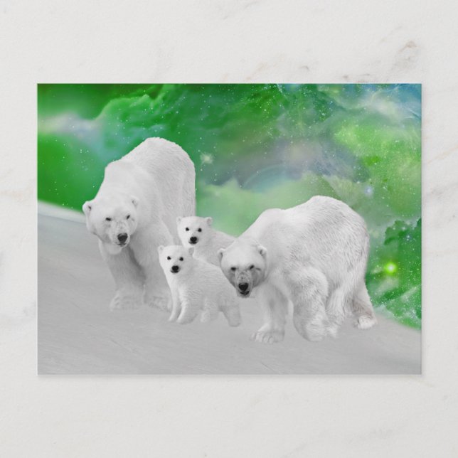 Polar Bears, cubs and northern lights Postcard (Front)