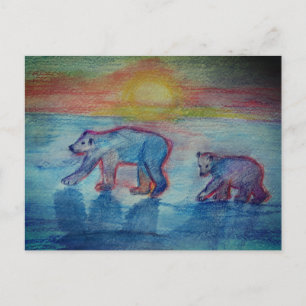 Polar Bears Drawing Postcard