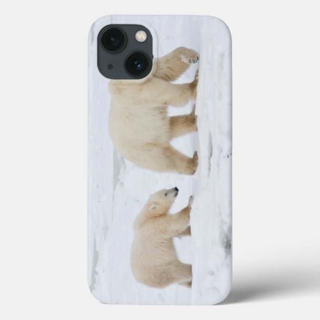 Polar Bears female and Two cubs Case-Mate iPhone Case (Back)