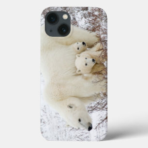 Polar Bears female and Two cubs iPhone 13 Case