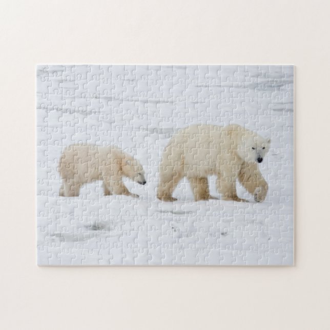 Polar Bears female and Two cubs Jigsaw Puzzle (Horizontal)