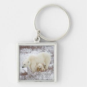 Polar Bears female and Two cubs Key Ring