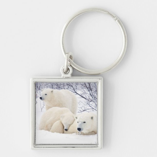 Polar Bears female and Two cubs Key Ring (Front)