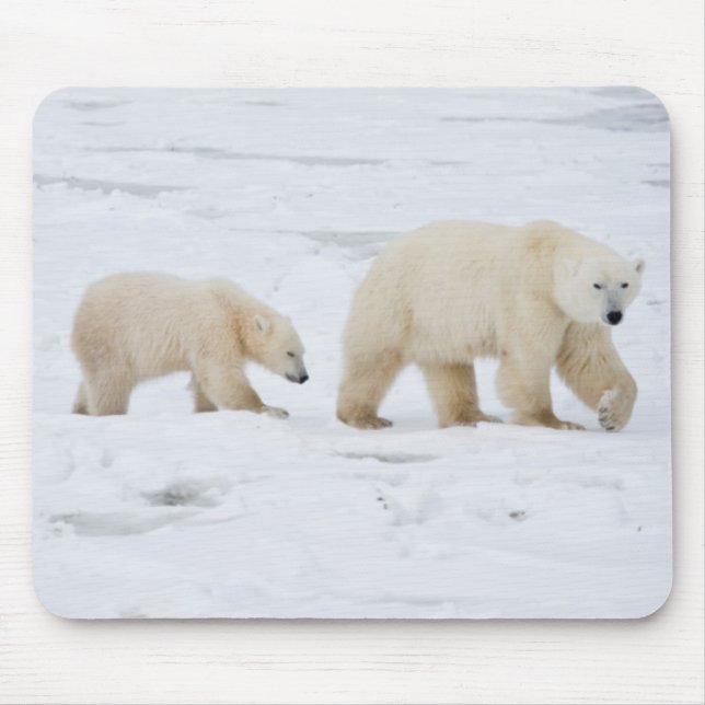 Polar Bears female and Two cubs Mouse Mat (Front)