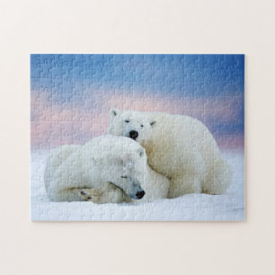 Polar Bears Game Puzzle