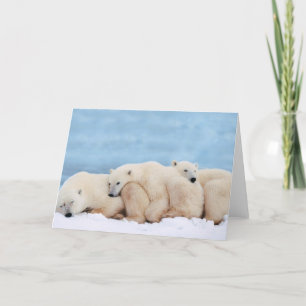 Polar Bears Greeting Card