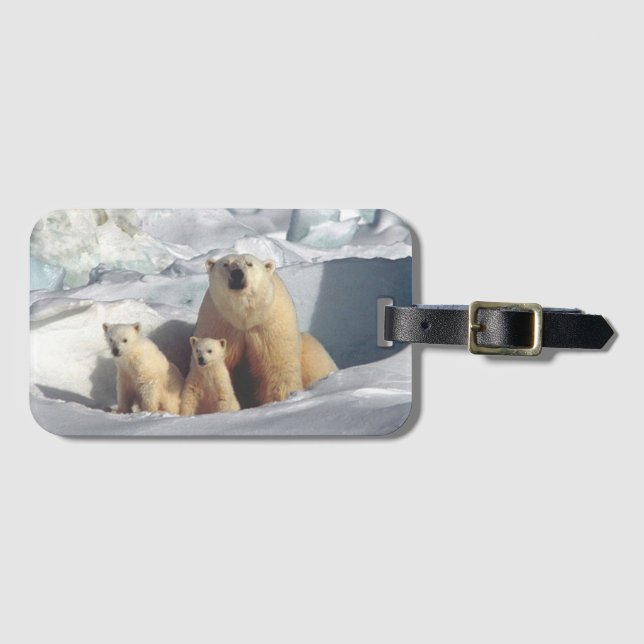 Polar Bears Luggage Tag (Front Horizontal)
