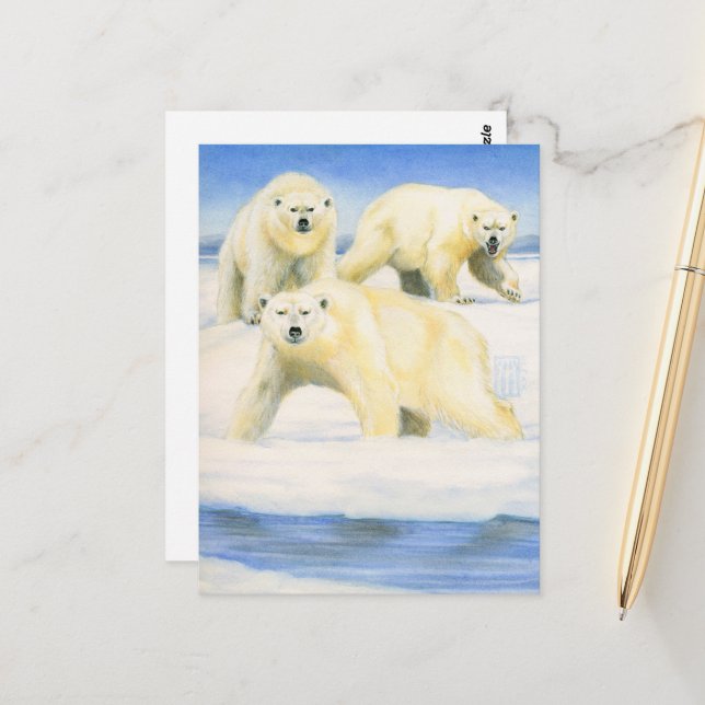 Polar Bears Postcard (Front/Back In Situ)