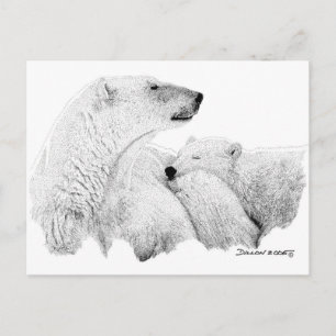 Polar Bears Postcard