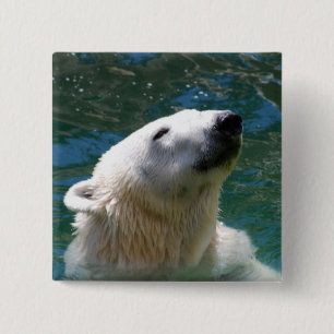 Polar bears smile 15 cm square badge